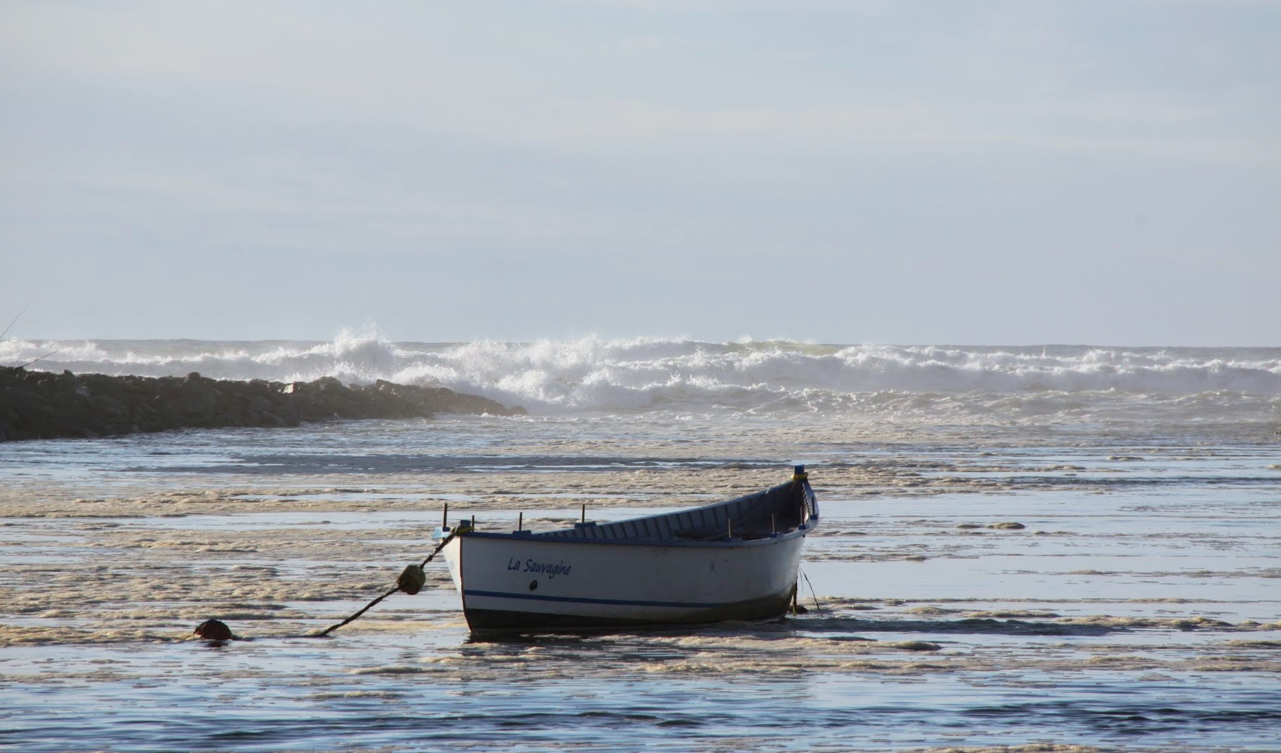 Bon été à tous ...  nous préparons la saison 2024-2025