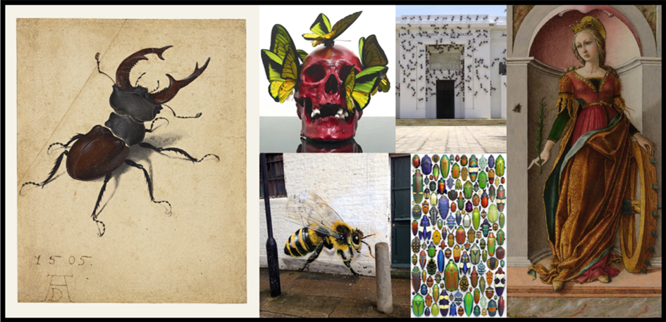 Histoire de l'Art : Insectes : quand l'Art fait mouche !