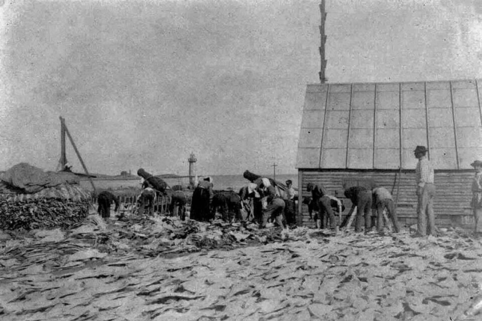 Civilisations et patrimoine : les Graviers, Clochards des mers